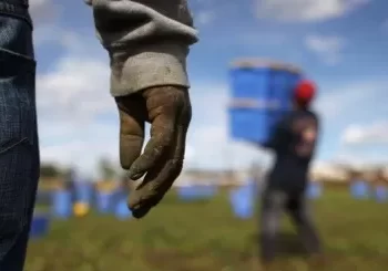 Dilaga il caporalato, a Villa Literno, scattano le ispezioni: denunciati 5 lavoratori irregolari