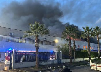 Zona industriale Carinaro, vasto incendio nella torrefazione: nube nera, pompieri in azione (Video e Foto)