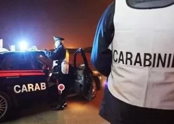 Reati ambientali, controlli dei carabinieri a Pozzuoli e Quarto: denunciate tre persone