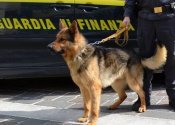 Droga dalla Spagna al casertano, smantellato un traffico di oltre 10 milioni di euro: 12 arresti