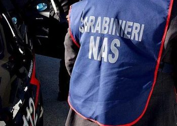 Santa Maria Capua Vetere, maxi-sequestro in un ristorante di sushi: 200 kg di prodotti ittici senza tracciabilità