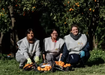 Le donne vittime di violenza raccolgono le arance nella Reggia di Caserta: faranno la ‘Marmellata delle Regine’