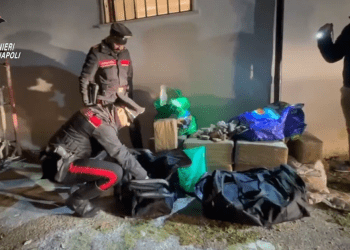Maxi sequestro di droga tra Caserta e Napoli. Oltre 745 chili di hashish e marijuana: 4 in manette (Video)