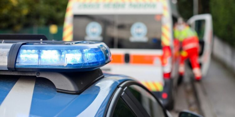 xr:d:DAFK9zFqgXI:698,j:558842753240462673,t:23071313