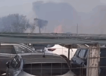 Fiamme nella pineta di Baia Domizia, stabilimento e auto in fiamme: bagnanti in fuga