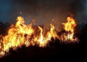 Castel Volturno, due incendi nella notte tra Ischitella e Marina di Bagnara