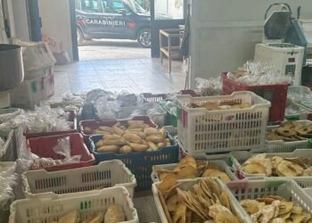 Casapesenna, forno abusivo tra impasti, freselle e condizioni igieniche disastrose: Denunciate 4 persone