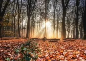 Equinozio d’autunno 2025, lunedì 22 settembre inizia la stagione autunnale