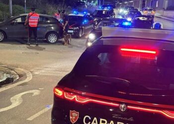 Forze dell’ordine in azione a Orta di Atella, Gricignano, Marcianise e Capodrise: denunce e sequestri
