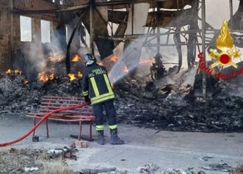 Teano, dopo l’incendio alla Campania Energia l’Asl di Caserta blocca mangimi contaminati