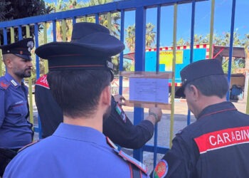 Controlli ambientali dei carabinieri a Cercola e Pollena Trocchia: denunce e attività sequestrate