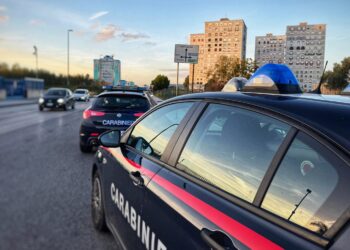 Ponticelli, controlli a tappeto dei Carabinieri: denunce, sanzioni e sequestri