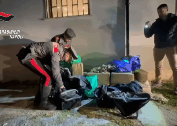 Traffico di droga dalla Spagna a Napoli: smantellata rete legata a una società di Giugliano, 5 arresti (Video)