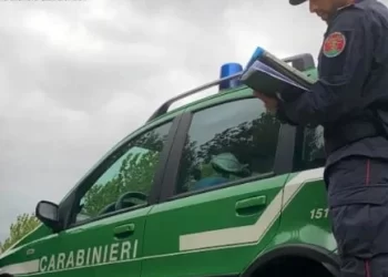 Varcaturo, maxi discarica abusiva: scoperti 350 metri cubi di rifiuti, arrestato un 64enne