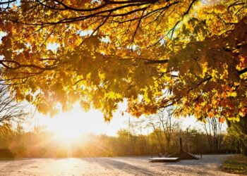 Meteo, weekend di sole e temperature miti, poi di nuovo correnti più fredde: le previsioni