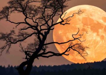 Domani, martedì 5 novembre, avremo la Superluna più grande e luminosa degli ultimi 6 anni