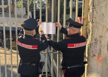 Terra dei Fuochi, blitz dei Carabinieri nei Comuni di Cesa e Gricignano di Aversa: sequestrati e sanzioni