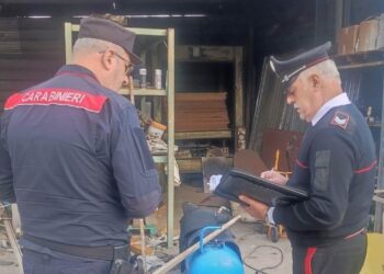 Discarica abusiva a Orta di Atella, sequestrati 200 tonnellate di rifiuti: 2 persone denunciate dai carabinieri