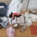 Maxi sequestro di droga a Scampia: scoperti 7 chili e mezzo di diverse sostanze stupefacenti e una pistola