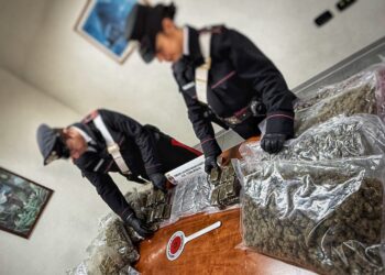 Blitz dei carabinieri a Mugnano: sequestrati 14 chili di stupefacenti in casa di un 48enne