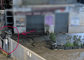 Blitz dei Carabinieri, scacco ai professionisti dei furti in abitazioni: 38 arresti – Video del blitz