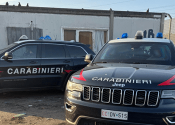 Operazione “Alto Impatto” nei campi rom: sequestri, denunce e bonifiche