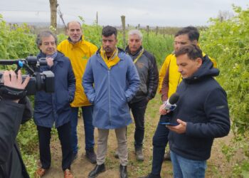 Ortofrutta, Coldiretti Campania rassicura: “Nessun rischio sanitario per allarme Epatite A, fermare le fake news”