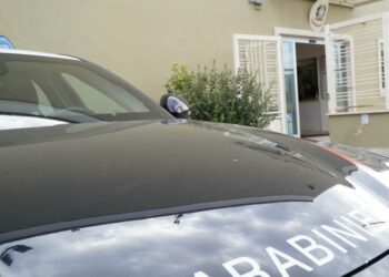 Carinaro, follia al fast food, guardia giurata picchiata dopo aver richiamato due clienti: due denunciati