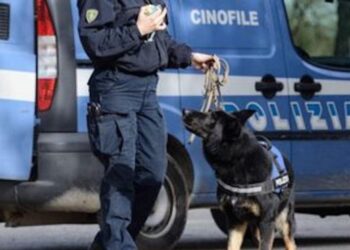 Castel Volturno, droga e armi in un covo di Baia Verde: arrestato pusher di 23 anni