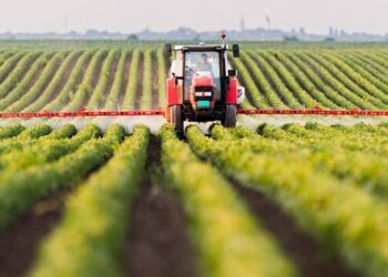 Giovani e agricoltura, al via il bando “Generazione Terra” da 120 milioni per acquistare terreni