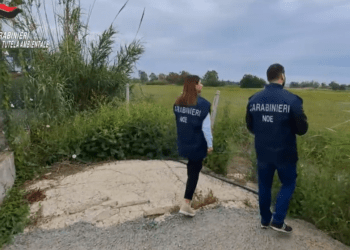 Ecomafia, 25 mila tonnellate di veleni nei campi. Così i clan avvelenavano il casertano: 2 arresti e sequestri -Video