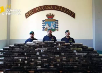 Napoli sequestrati 113 chili di cocaina: Lo stupefacente era nascosto nel doppiofondo di un tir