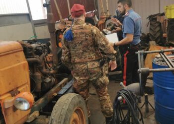 Blitz in Terra dei Fuochi tra Napoli e Caserta, sequestri, denunce e sanzioni nell’ultimo report interforze