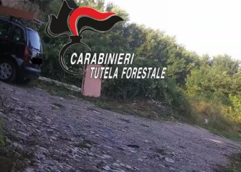 Aversa, ennesimo e nuovo sequestro per abbandono illecito di rifiuti in zona “Cappuccini”: denunciato un uomo
