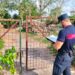 Aversa, segheria abusiva e rifiuti abbandonati: i carabinieri forestali sequestrano un’area