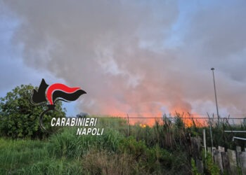 Licola, brucia sterpaglie e causa un mega incendio: devasta 7 ettari di macchia mediterranea, arrestato