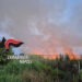 Licola, brucia sterpaglie e causa un mega incendio: devasta 7 ettari di macchia mediterranea, arrestato