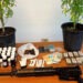 Blitz della Polizia a Barra, arrestato 56enne: oltre un chilo di hashish e piante di marijuana in casa