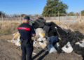 San Marcellino, rifiuti agricoli stoccati in modo irregolare in un frutteto: denunciato titolare dai Carabinieri Forestali