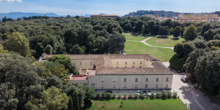 Polo Caselli-Palizzi, polo d'eccellenza legato alla storica tradizione della porcellana di Capodimonte.